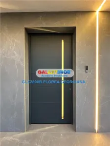 Inchiriere  casa superba Tunari - foto 13