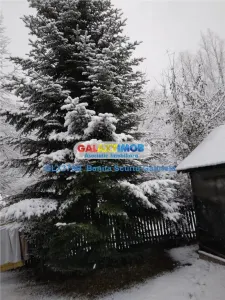 Vanzare  casa de vacanta  parter + 1 E zona Izvoarele, jud Prahova - foto 6