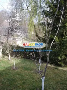 Vanzare  casa de vacanta  parter + 1 E zona Izvoarele, jud Prahova - foto 10