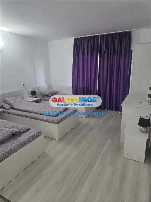 Vindem vila-pensiune in Budeasa P+E , mobilata si utilata - foto 4