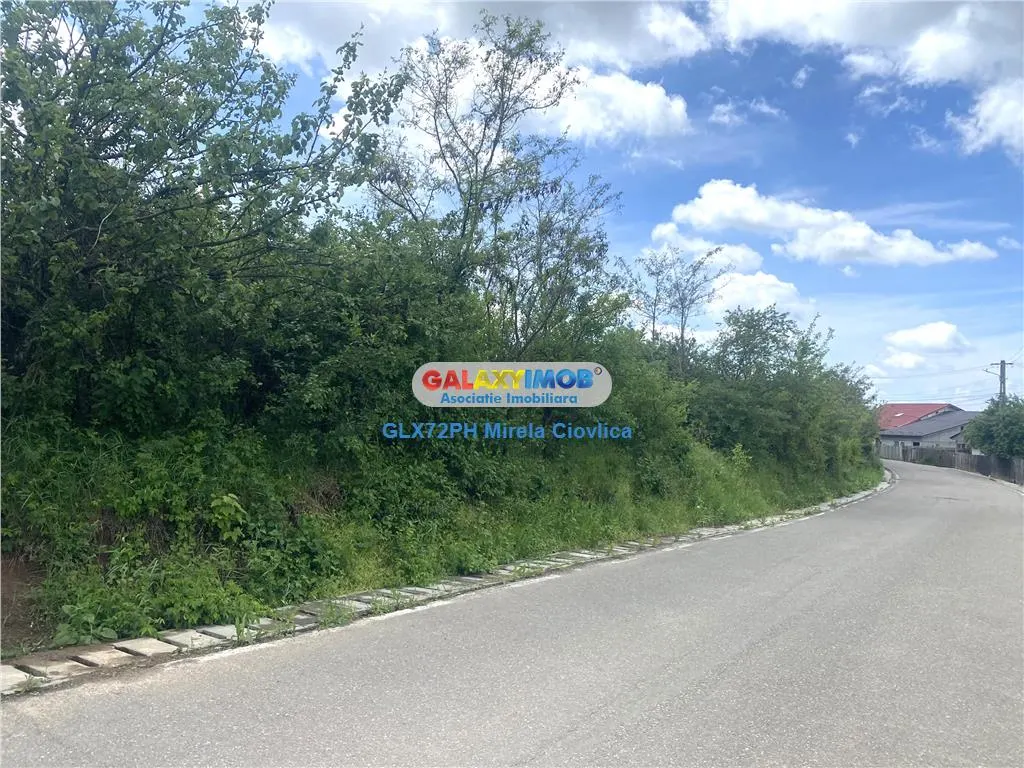 Vanzare teren intravilan Baicoi zona Tintea - foto 1