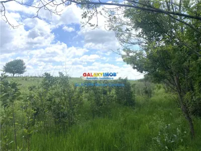 Vanzare teren intravilan Baicoi zona Tintea - foto 4