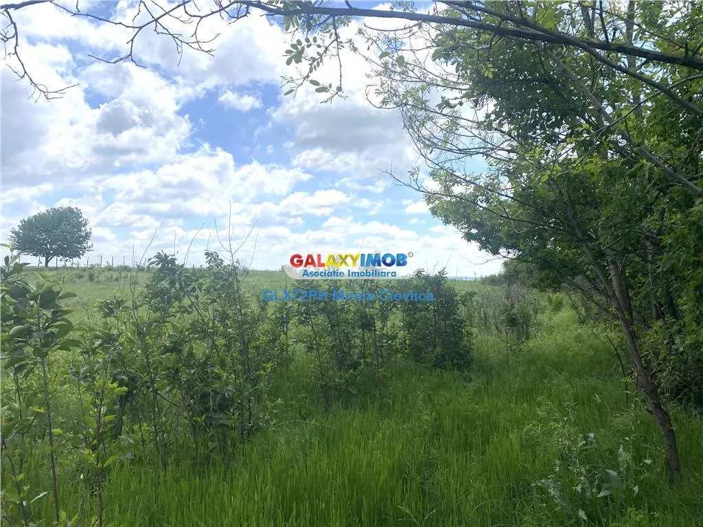 Vanzare teren intravilan Baicoi zona Tintea - foto 4