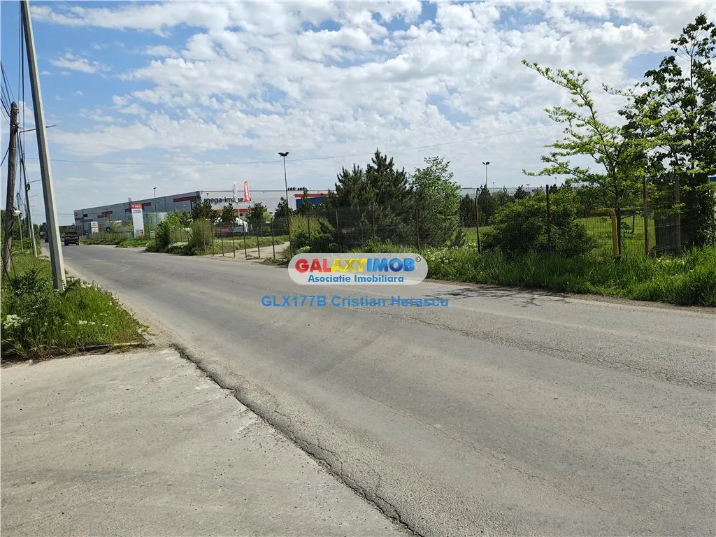 Teren Industrial 3 HECTARE Str Rudeni cu deschidere 50 ML - foto 2