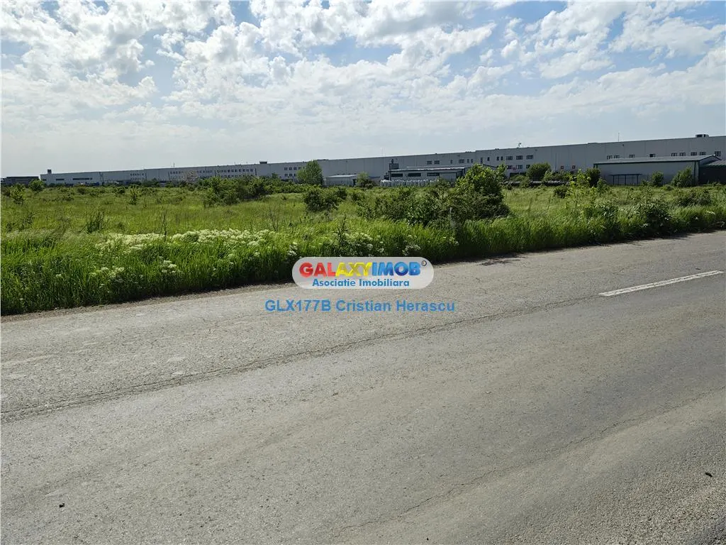 Teren Industrial 3 HECTARE Str Rudeni cu deschidere 50 ML - foto 3