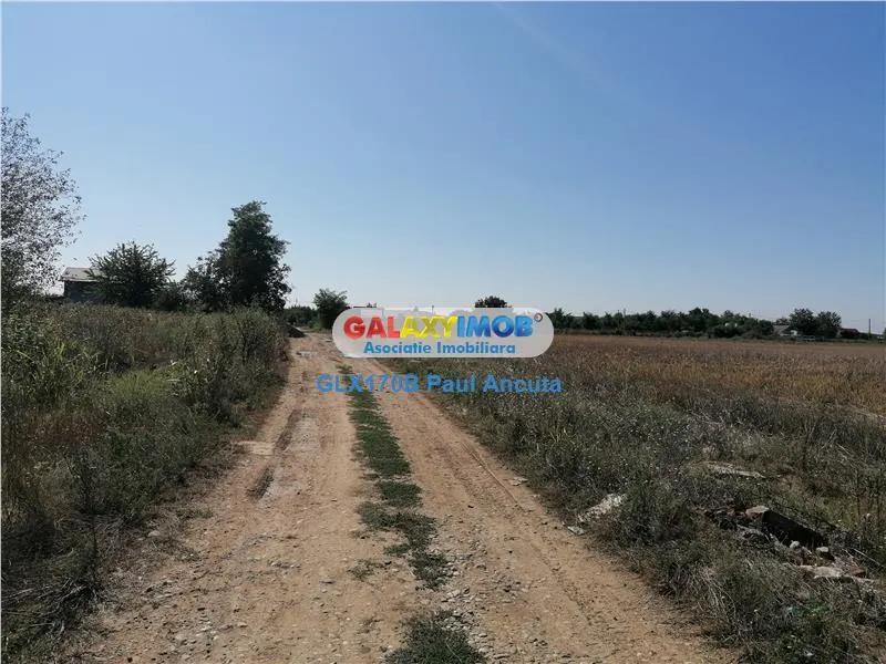 Teren Moara Vlasiei 2000 mp intravilan deschiderea de 32m - foto 1