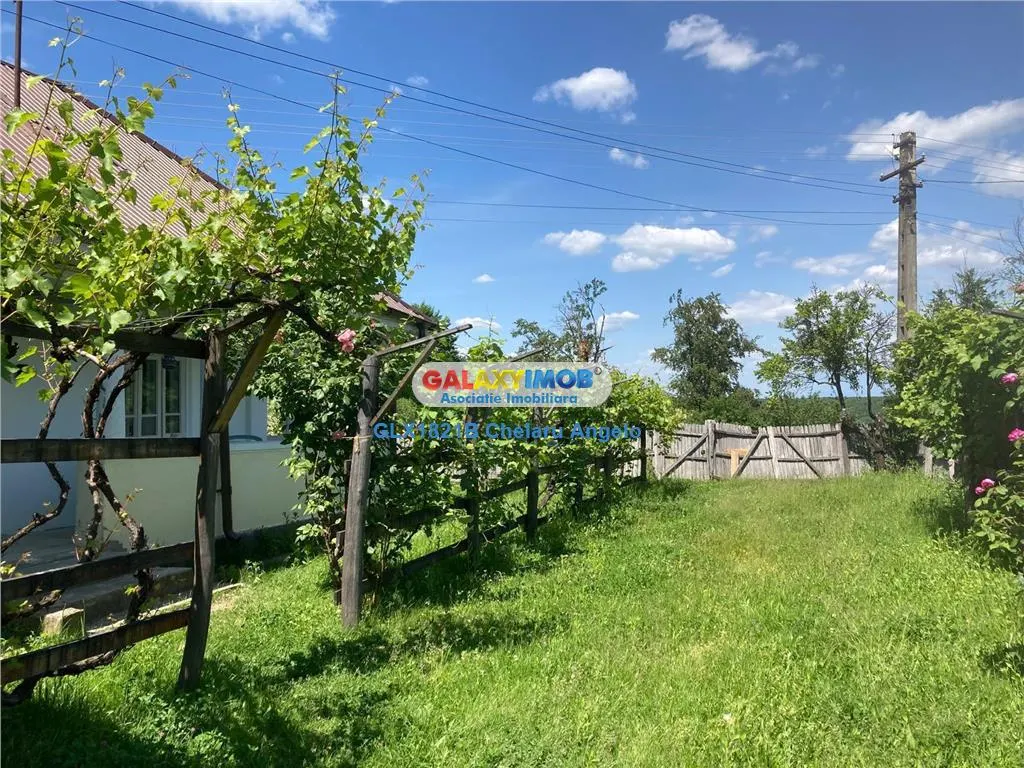 Rachitele de Jos,Arges,2 case 100 mp, teren 2000 mp, - foto 24