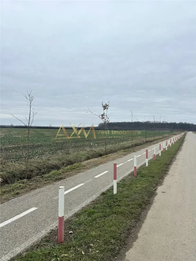 Teren, la padure, Giroc - foto 1