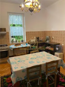 Apartament zona centru vechi cu spatiu verde parter - foto 9