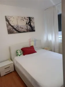 2 camere confort 1, Mobilat si Utilat, Garii - foto 5