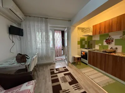 Pacurari - Alpha Bank , 2 camere ,etaj 1, loc de parcare - foto 16
