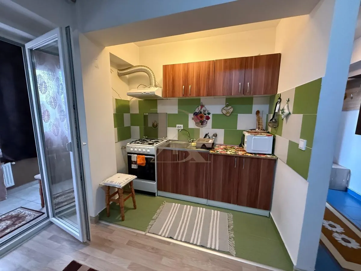 Pacurari - Alpha Bank , 2 camere ,etaj 1, loc de parcare - foto 3