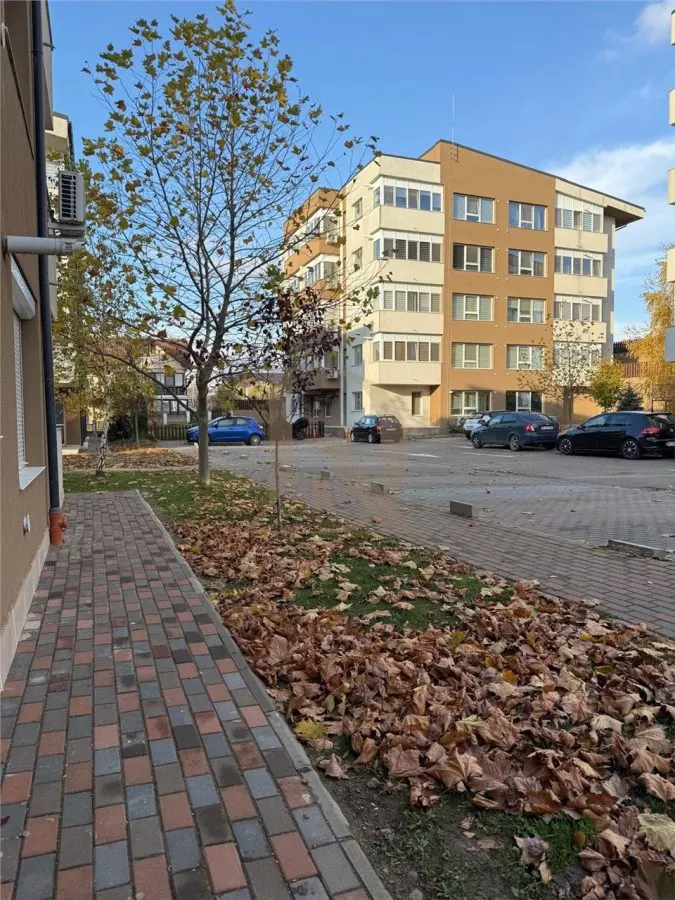 Pacurari - Alpha Bank , 2 camere ,etaj 1, loc de parcare - foto 10