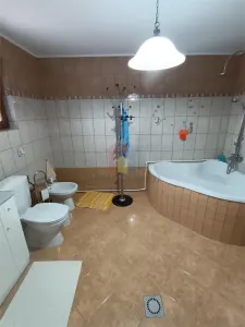 Casa, zona Brailita, 3 camere, Boltari si Paianta - foto 9