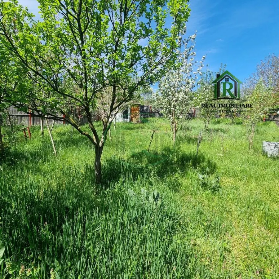 Casa de vacanta Vernesti- Niscov - la padure ! - foto 2