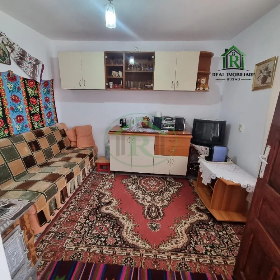 Casa de vacanta Vernesti- Niscov - la padure ! - foto 6