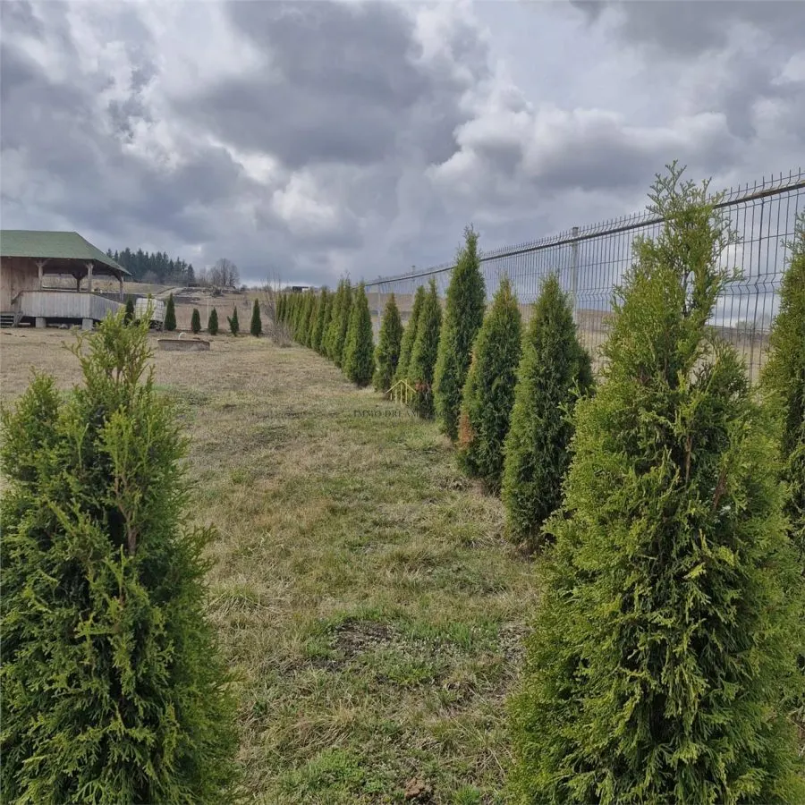 Teren extravilan de vanzare in Salistea Veche - foto 4