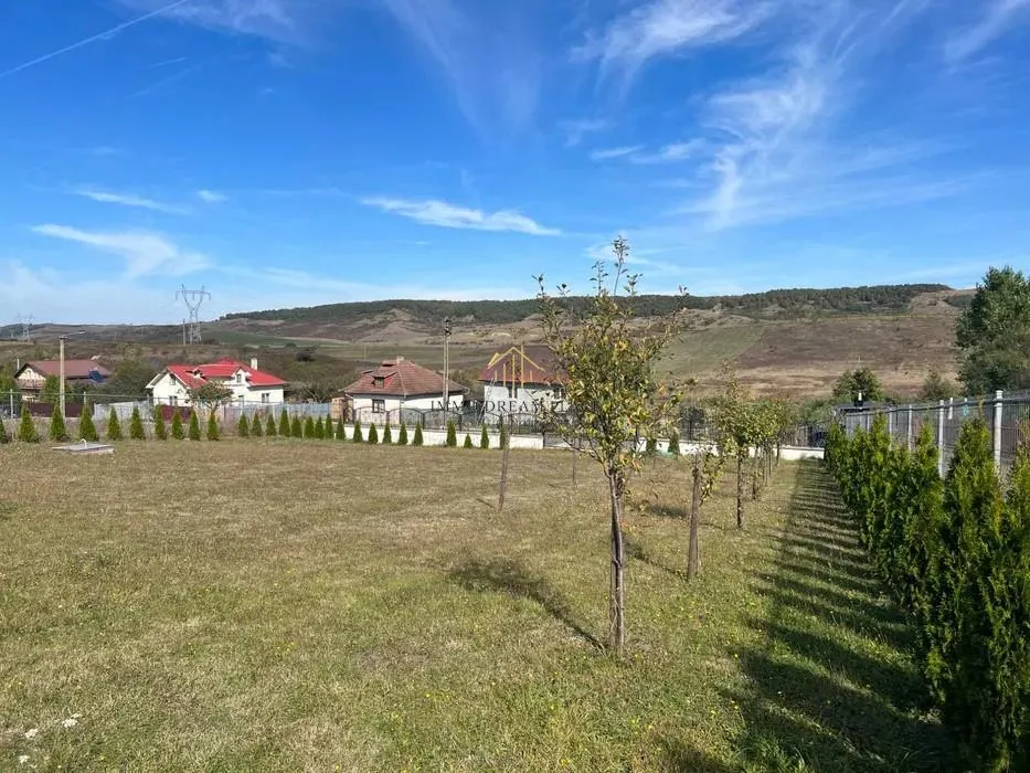Teren extravilan de vanzare in Salistea Veche - foto 7