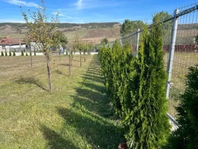 Teren extravilan de vanzare in Salistea Veche - foto 8