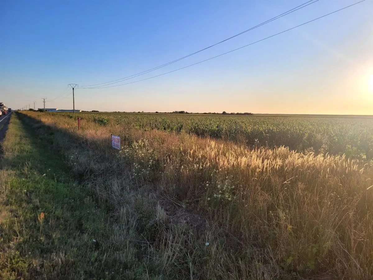 Teren intravilan cu iesire la DN 79,Nojorid,Oradea,Bihor - foto 3