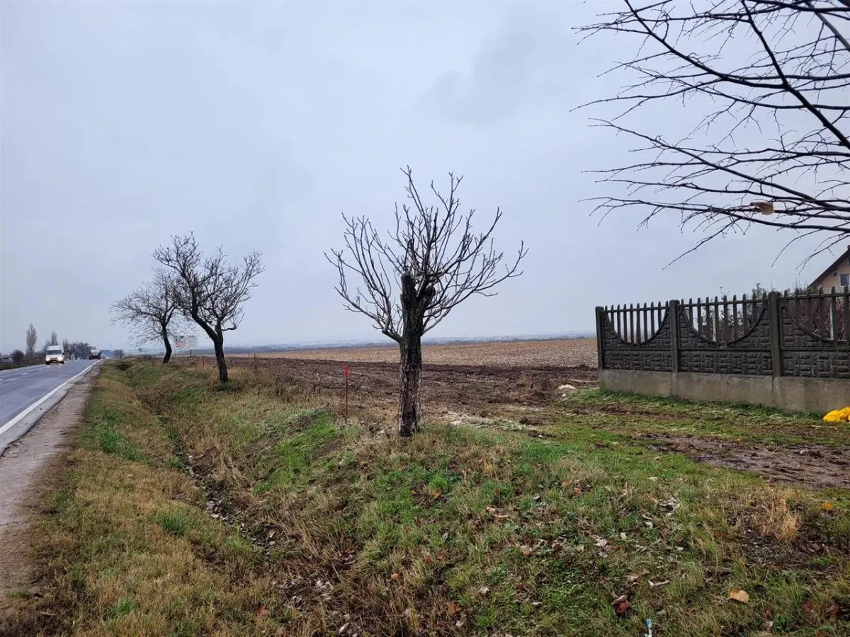 Teren intravilan,Calea Aradului,zona aeroport, Oradea - foto 1