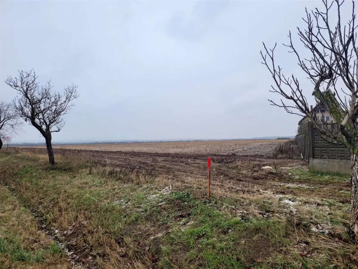 Teren intravilan,Calea Aradului,zona aeroport, Oradea - foto 3