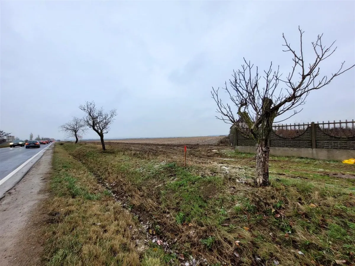 Teren intravilan,Calea Aradului,zona aeroport, Oradea - foto 4