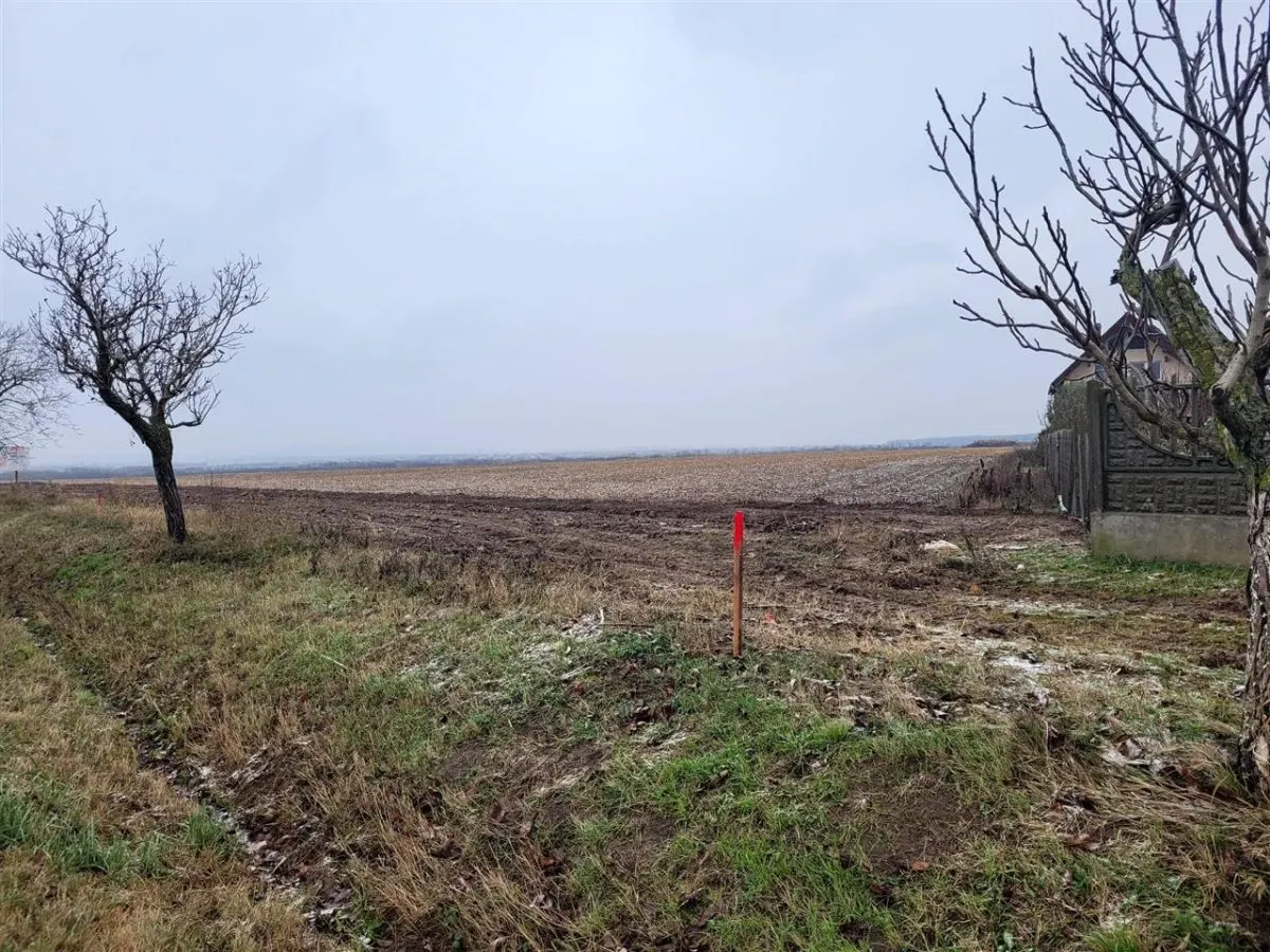 Teren intravilan,Calea Aradului,zona aeroport, Oradea - foto 5
