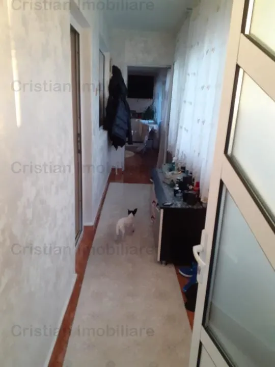 Vila  P+M + SPATIU COMERCIAL Chercea Mobilata 400mp utili - foto 19