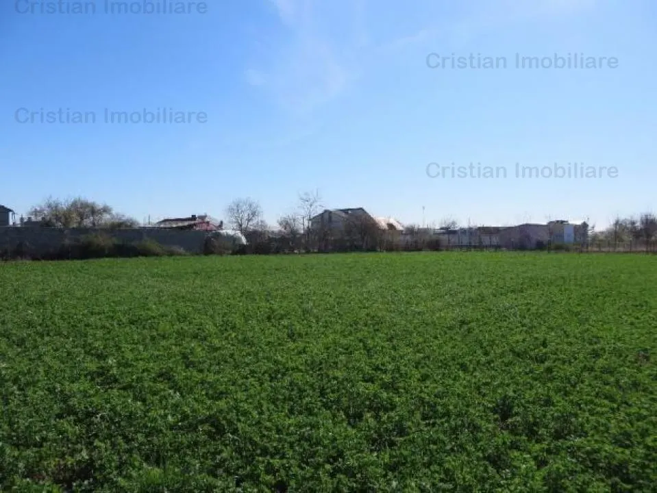 Teren constructii zona Lacu Sarat,  suprafata 3393 mp, 22 euro/mp - foto 1