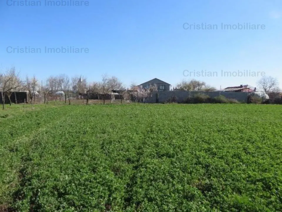Teren constructii zona Lacu Sarat,  suprafata 3393 mp, 22 euro/mp - foto 2