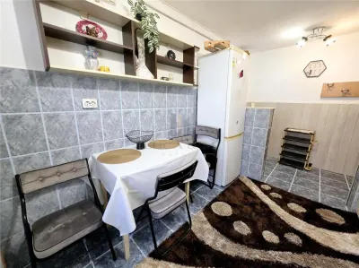 Apartament 2 camere, Girocului - Salcamilor - foto 6