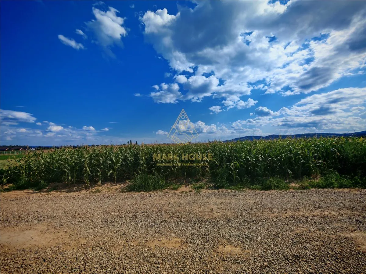 Teren extravilan de vânzare, 6.400 mp, Măgura - foto 1