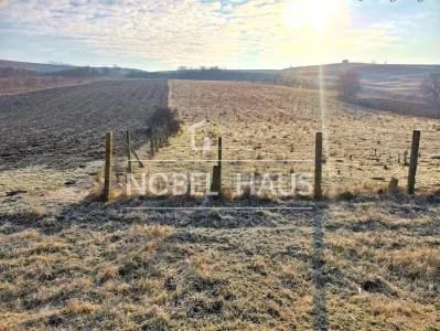 Teren intravilan 1041 mp, Grivita, pentru constructii - Grivita