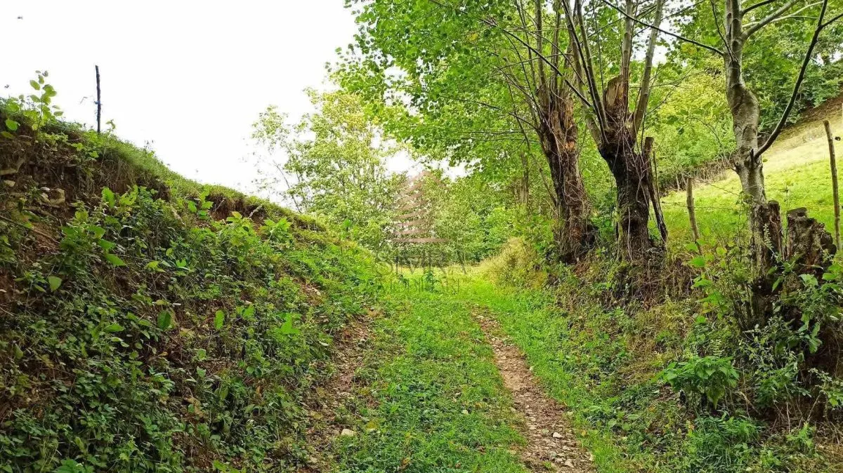 Teren extravilan de 1050mp, Bulz - foto 2