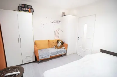 Apartament cu 2 camere decomandat, Nufarul - foto 3