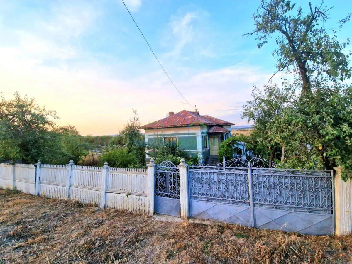 CASA DE VANZARE 3 CAMERE - IN SCAIESTI  - DOLJ - foto 11