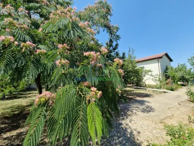 CASA P +E , 5 camere -Cosoveni - foto 4