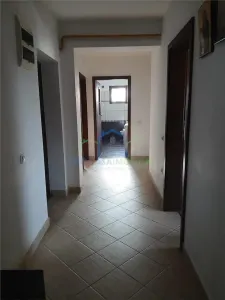 Apartament 3 camere Câmpia Islaz - foto 3