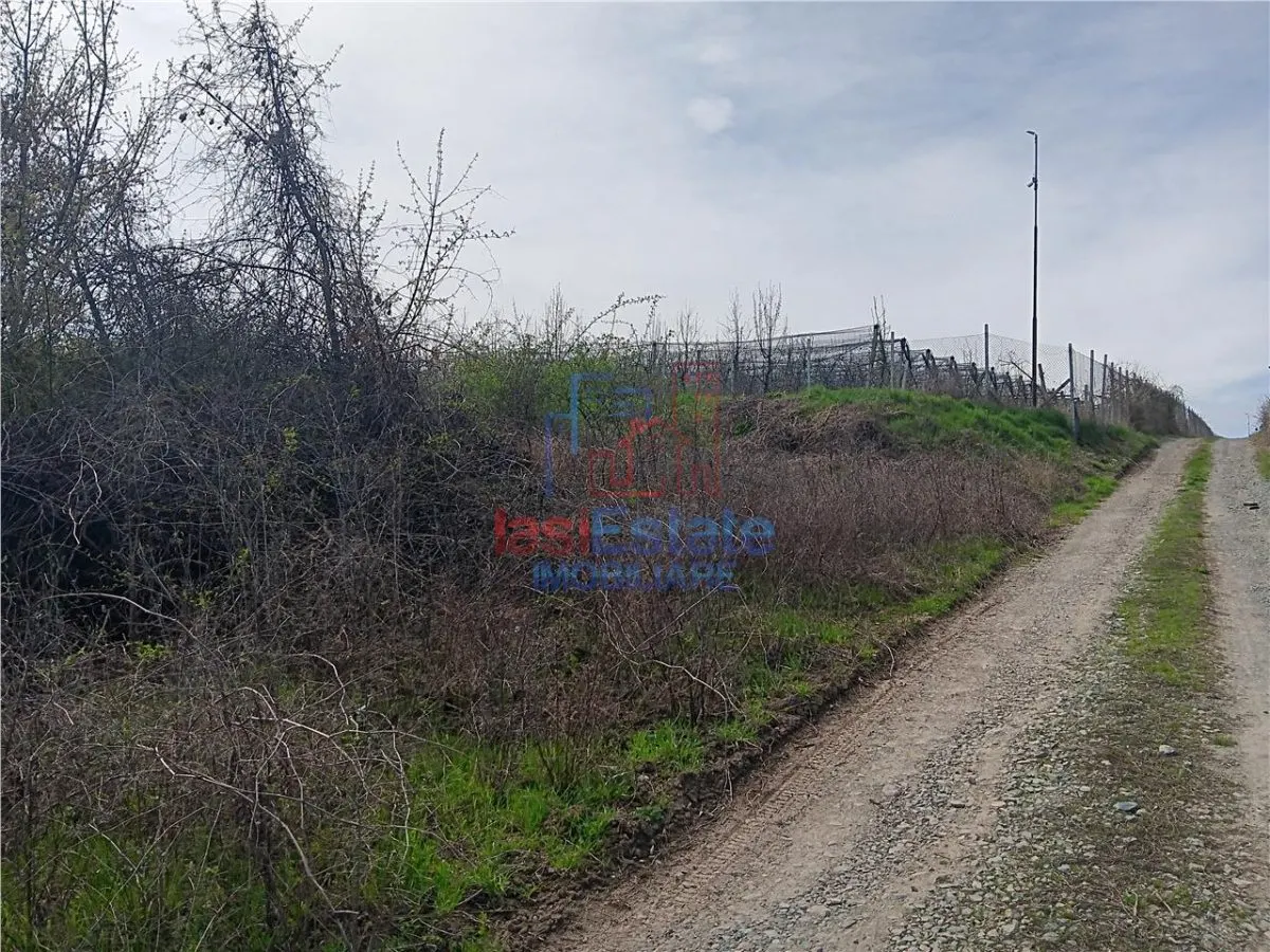 Visan str Valea Viilor TEREN 1122mp cu dubla deschidere toate utilitatile zonei - foto 3