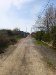 Visan str Valea Viilor TEREN 1122mp cu dubla deschidere toate utilitatile zonei - foto 4