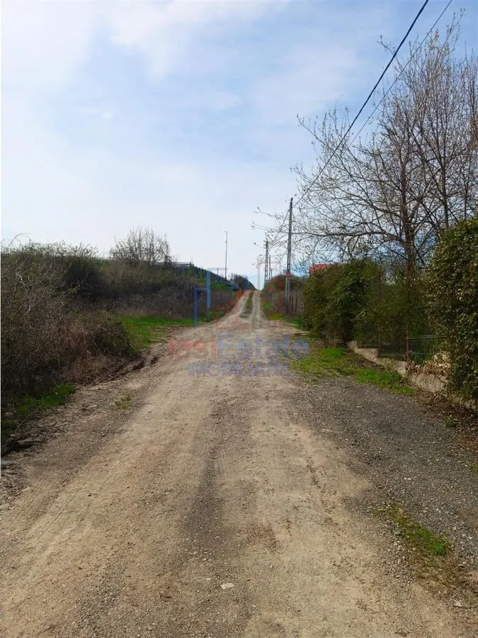 Visan str Valea Viilor TEREN 1122mp cu dubla deschidere toate utilitatile zonei - foto 4