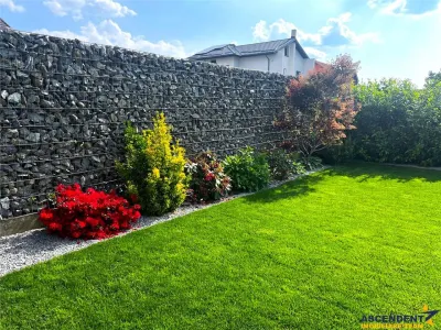 Resedinta high-tech, lot privat 1.000 mp, Tarlungeni, Brasov: Tur LIVE! - foto 12