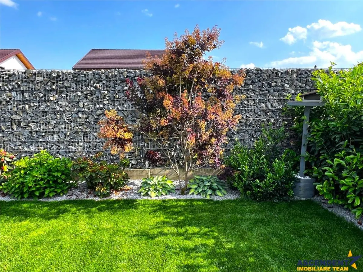Resedinta high-tech, lot privat 1.000 mp, Tarlungeni, Brasov: Tur LIVE! - foto 16