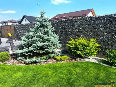 Resedinta high-tech, lot privat 1.000 mp, Tarlungeni, Brasov: Tur LIVE! - foto 9