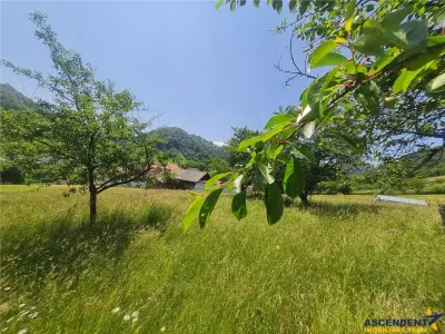 FILM!View superb catre munti,teren pretabil constructie Hotel,4.400 mp, Moieciu de Jos, Bran - foto 21