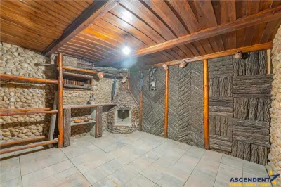 FILM& 3D! Vila high tech, cu semineu, jacuzzi, terasa, 10 camere, Central, Brasov - foto 13