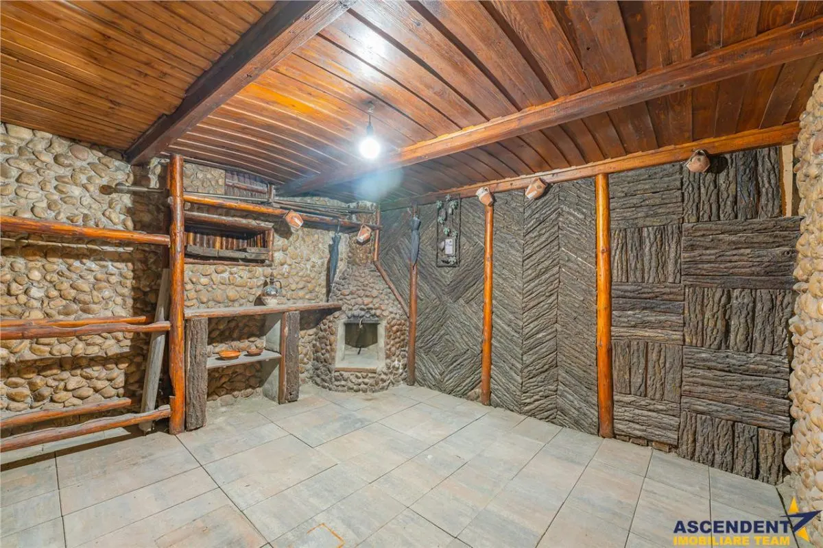 FILM& 3D! Vila high tech, cu semineu, jacuzzi, terasa, 10 camere, Central, Brasov - foto 13