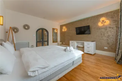 FILM& 3D! Vila high tech, cu semineu, jacuzzi, terasa, 10 camere, Central, Brasov - foto 3