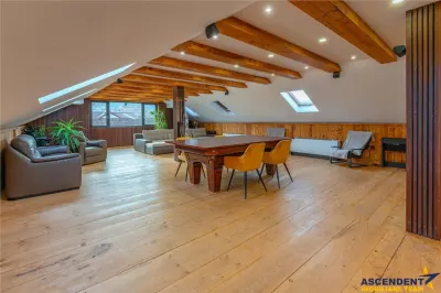 FILM& 3D! Vila high tech, cu semineu, jacuzzi, terasa, 10 camere, Central, Brasov - foto 21